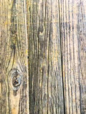 Ahşap izole etmek ve Bahçe