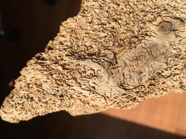 Ahşap izole etmek ve Bahçe