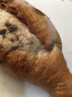 Küflü ekmek izole