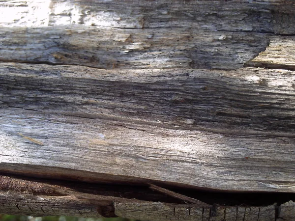 Isolato di legno e giardino — Foto Stock