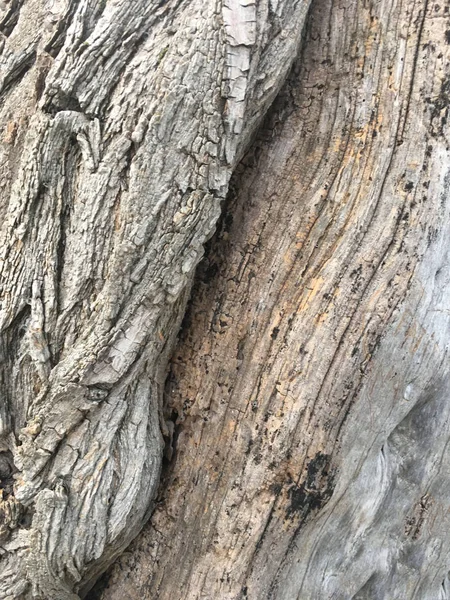 Aislamiento y jardín de madera —  Fotos de Stock