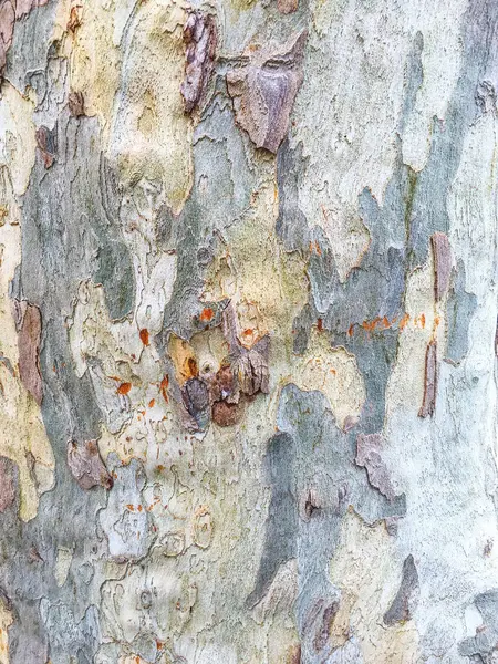 Holzisolierung und Garten — Stockfoto