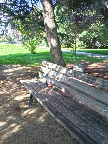 stock image Bench and sitting