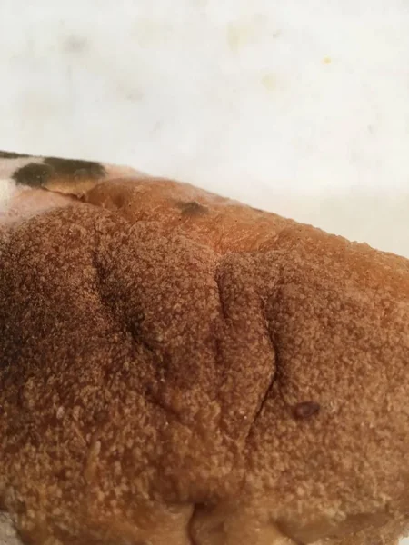 Απομονώσετε μουχλιασμένο ψωμί — Φωτογραφία Αρχείου