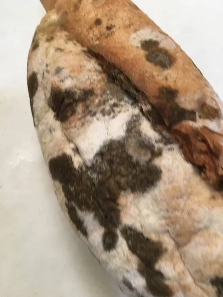 케 케 묵은 빵을 분리 — 스톡 사진