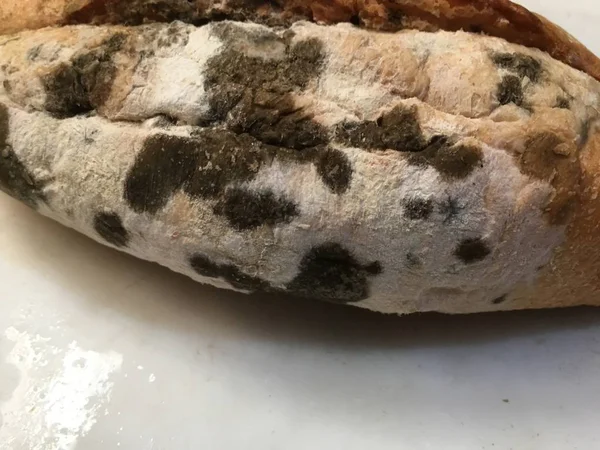 Плесенью хлеб изолировать — стоковое фото