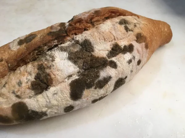 Pão mofado isolado — Fotografia de Stock
