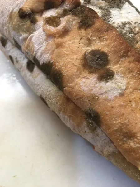 Moldy brød isolat - Stock-foto