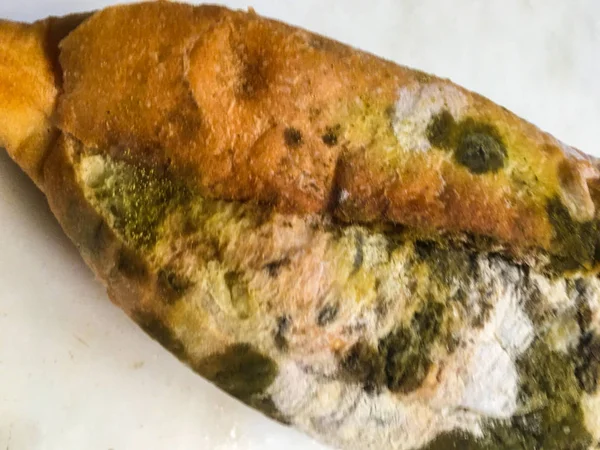 Moldy bread  isolate — Stock Photo, Image