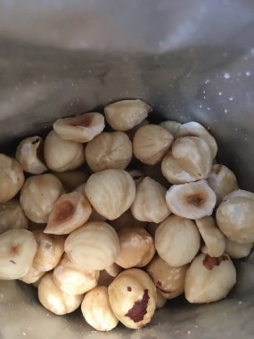 Fındık fındık izole