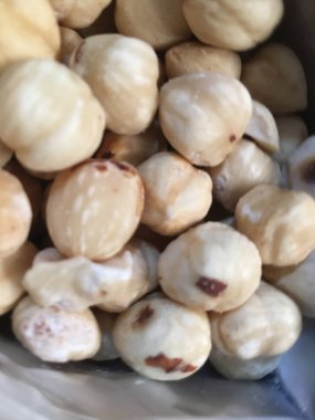 Fındık fındık izole