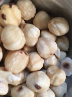 Fındık fındık izole