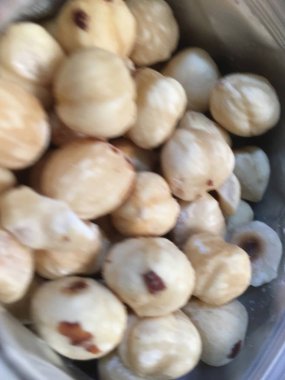 Fındık fındık izole