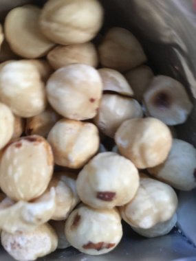 Fındık fındık izole