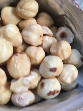 Fındık fındık izole