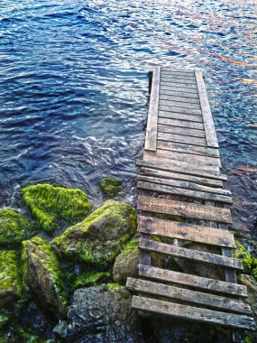 Deniz ve yosunlu kaya