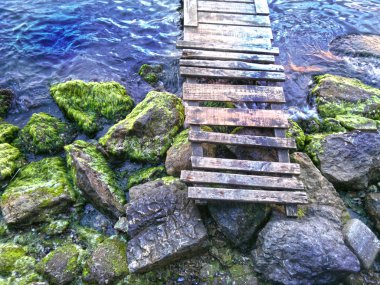 Deniz ve yosunlu kaya