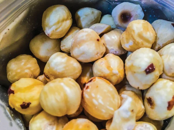 Fındık fındık izole