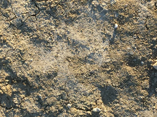 ひびの入った土壌テクスチャ — ストック写真