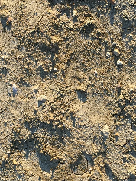 Texture du sol fissuré — Photo