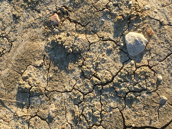 Struttura del suolo screpolata — Foto Stock