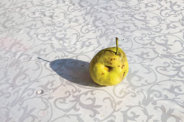 Pear in the branch — Stock Photo, Image