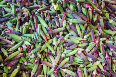 Bamya bitki arka plan