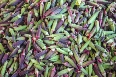 Bamya bitki arka plan