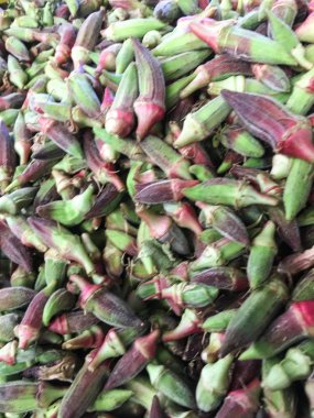 Bamya bitki arka plan