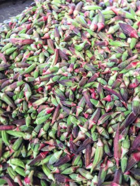 Bamya bitki arka plan