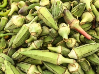 Bamya bitki arka plan