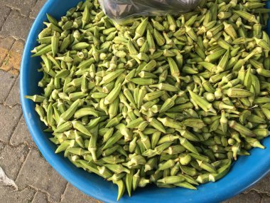 Bamya bitki arka plan