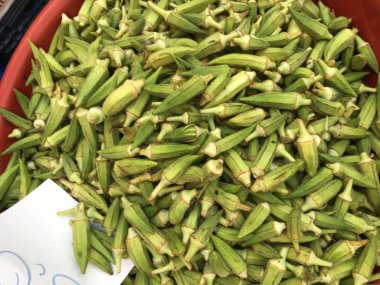 Bamya bitki arka plan