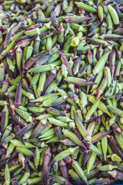 Bamya bitki arka plan