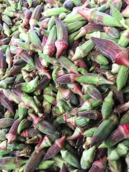 Bamya bitki arka plan