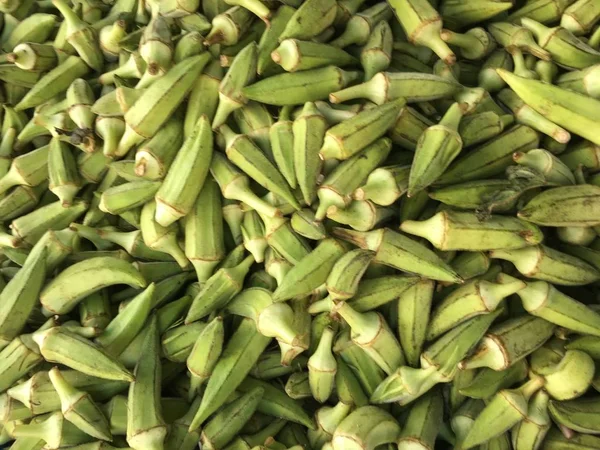 Bamya bitki arka plan