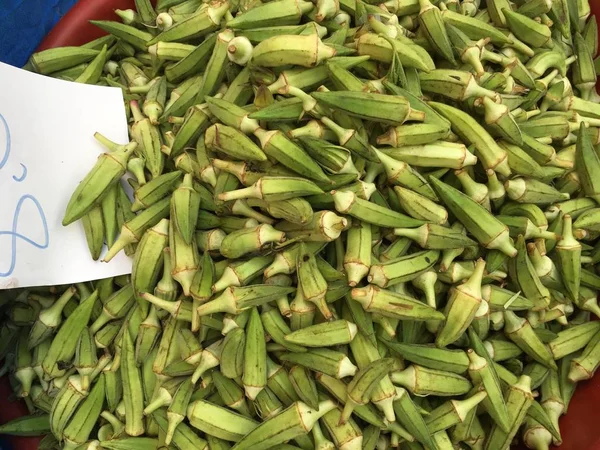 Bamya bitki arka plan