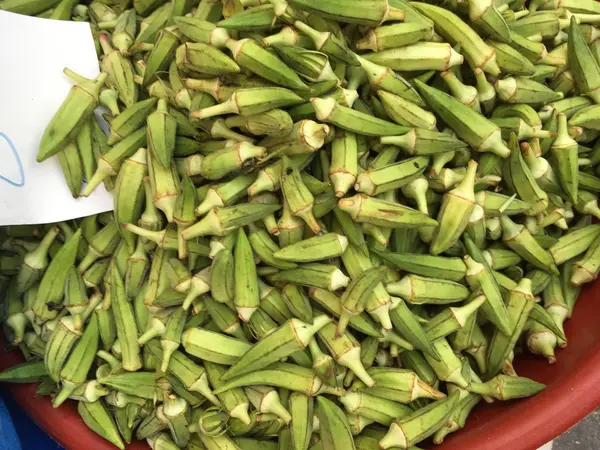 Bamya bitki arka plan