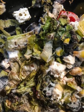 çürük salata bitki