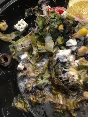 çürük salata bitki