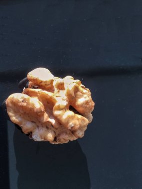 Ceviz, fındık bitki