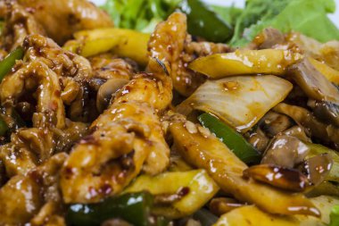 bir plaka etler servis