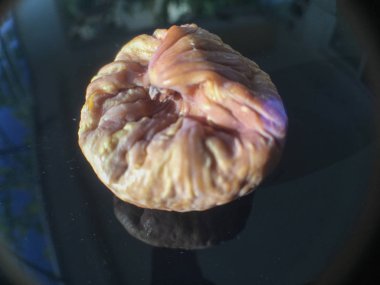 incir arka plan izole