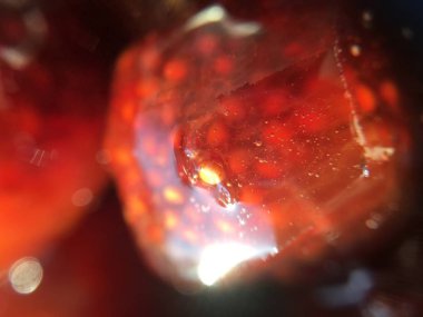 İncir reçeli izole