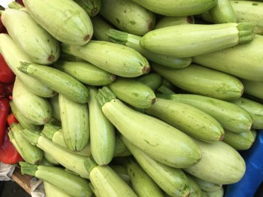 Kabak izole arka plan