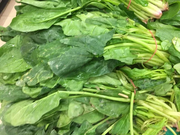 Spinach background isolate — Stock Photo, Image