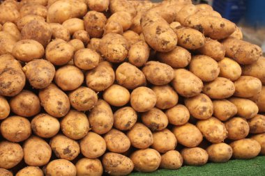 patates arka plan izole