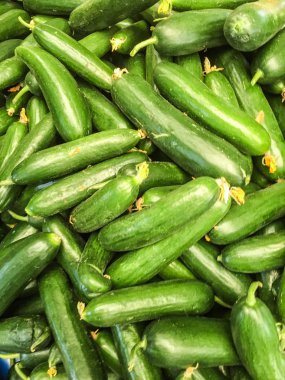 Salatalık arka plan izole