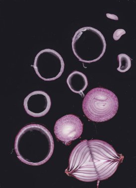 soğan arka plan izole