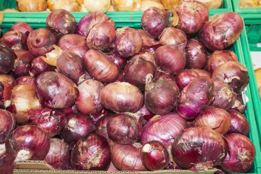 soğan arka plan izole